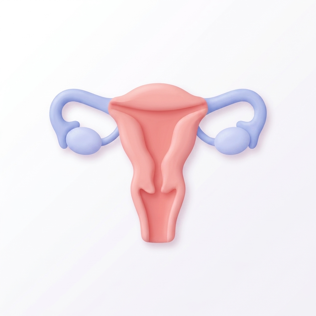 Routine Gynaecology