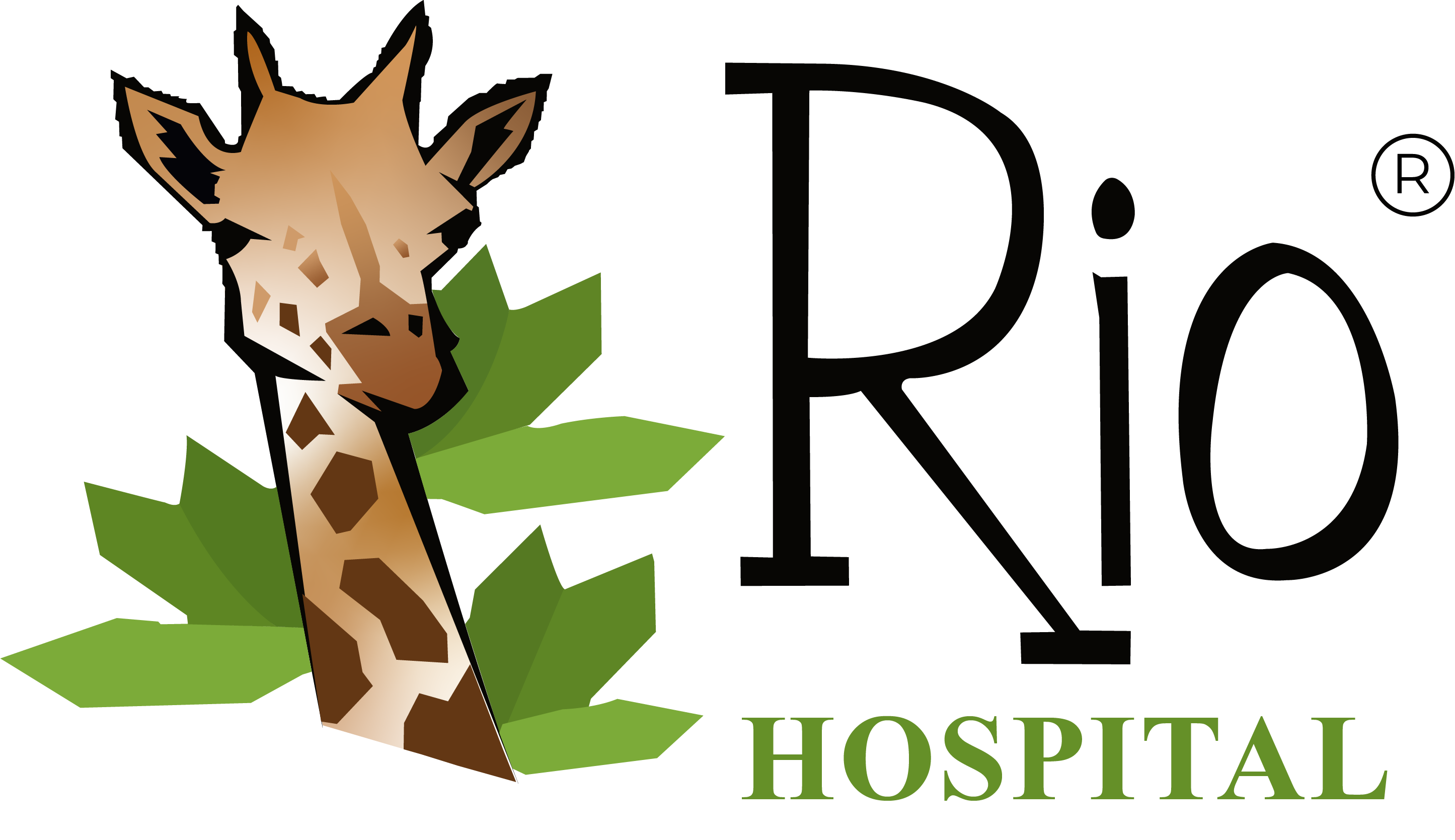 Rio Children's Hospital