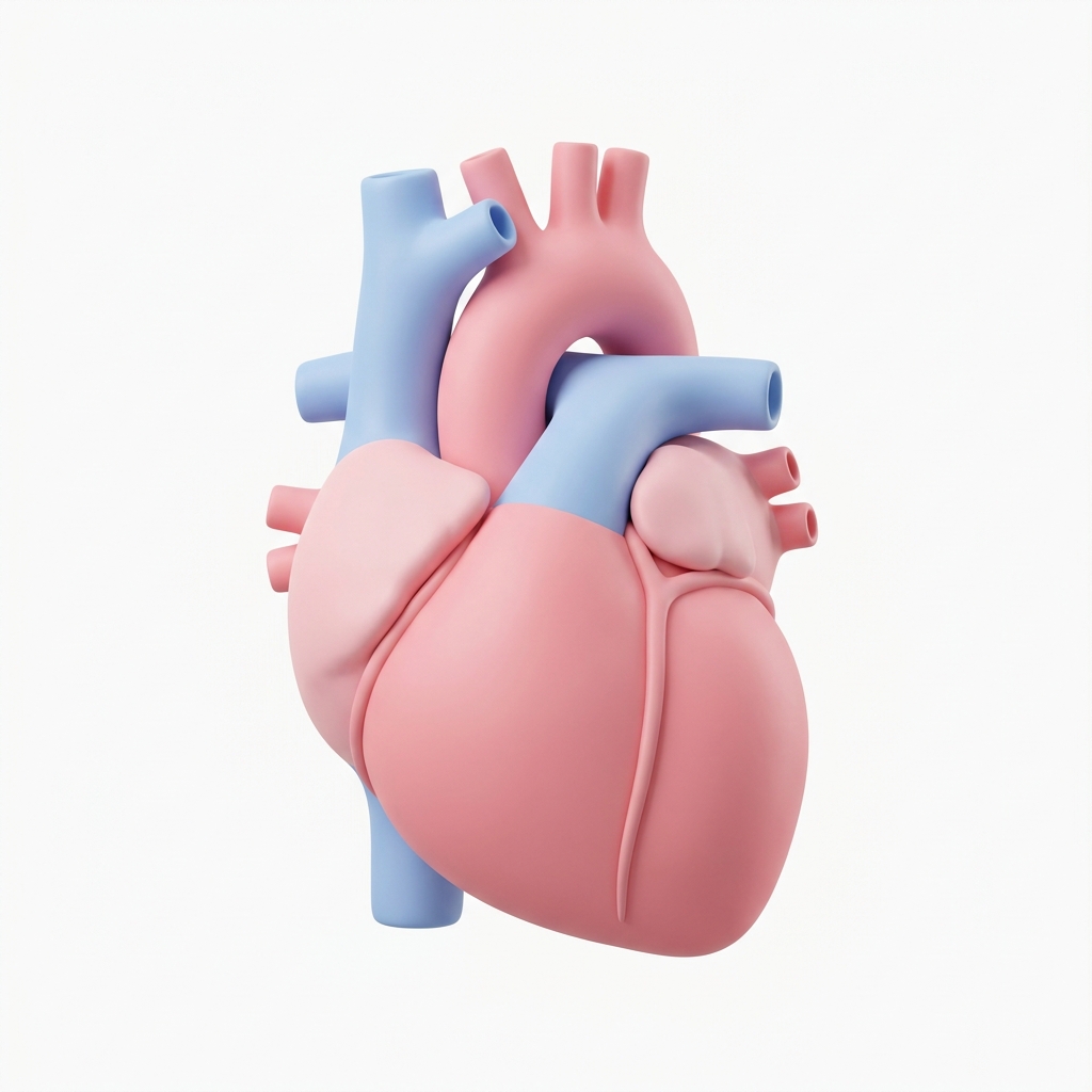 Paediatric Cardiology