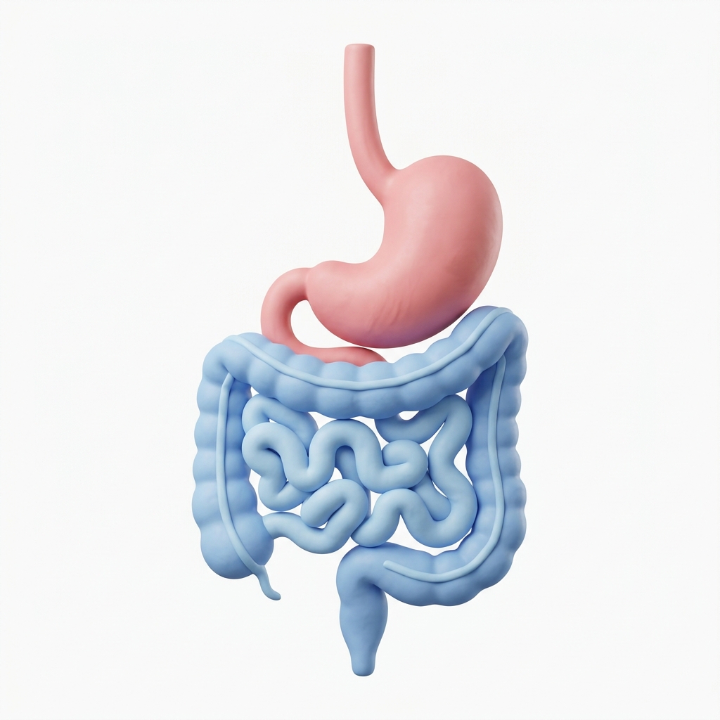 Gastroenterology & Hepatology