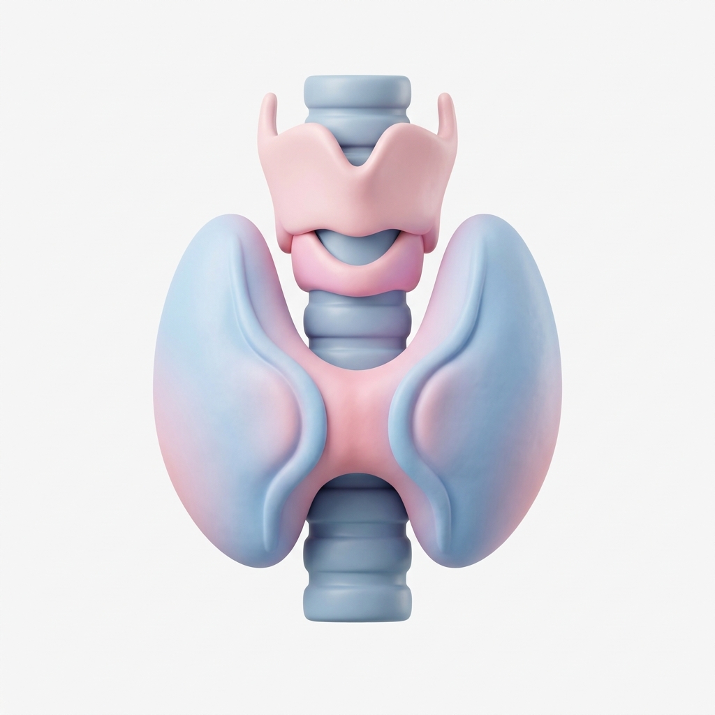 Paediatric Endocrinology